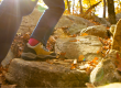Supporting mental health during the fall