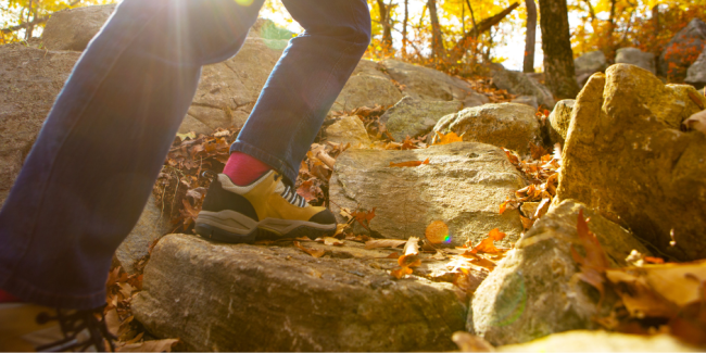 Supporting mental health during the fall