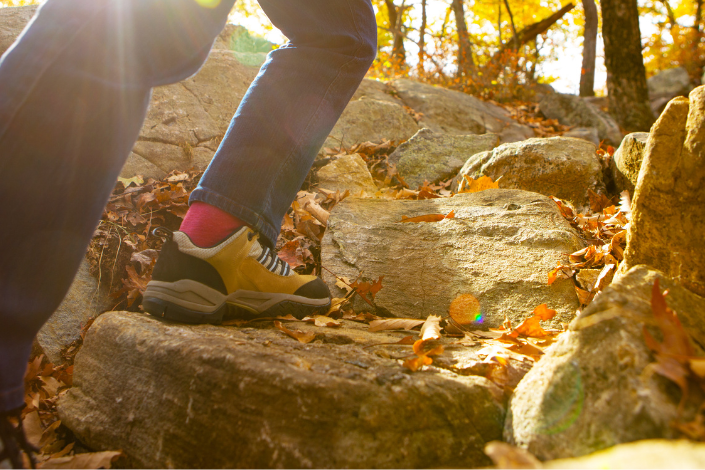 Supporting mental health during the fall