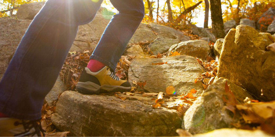 Supporting mental health during the fall