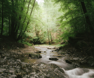 what is embodied spirituality?