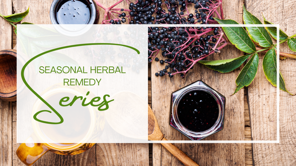 Seasonal Herbal Remedy Series