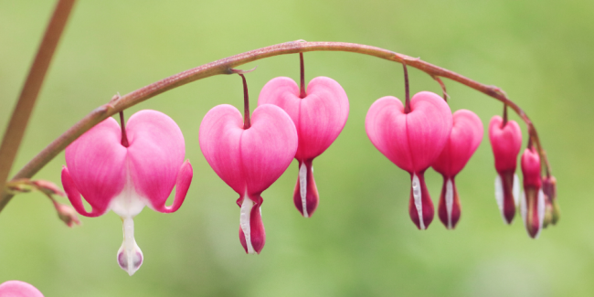 Making Your Menstrual Cycle Your Friend (Part 2)