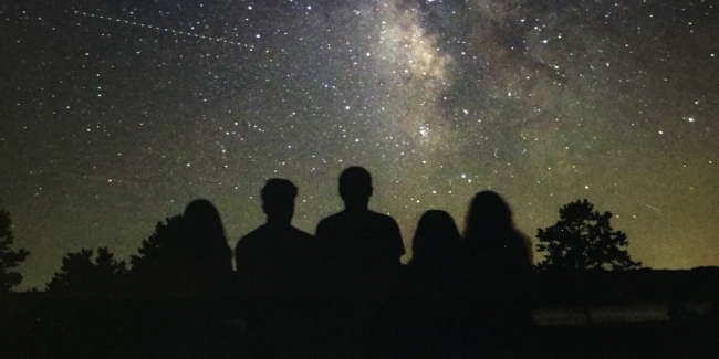 Family Constellations blog