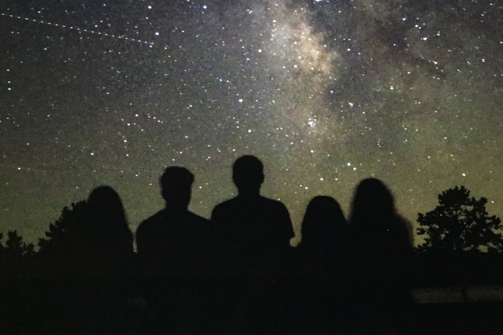 Family Constellations blog