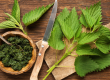 Nettle as a Spring Tonic