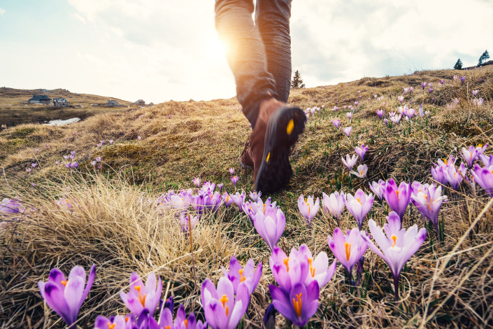 Seasonal Attunement: Longevity Practices for Spring