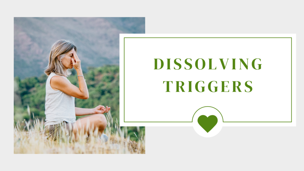 Dissolving Triggers Workshop