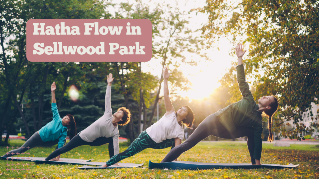 Hatha Flow Yoga in Sellwood Park