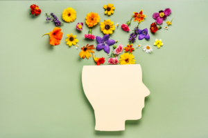 Holistic portland Nurse Practitioner