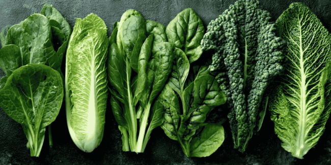 Support Your Liver this Spring with Tips from a Naturopath