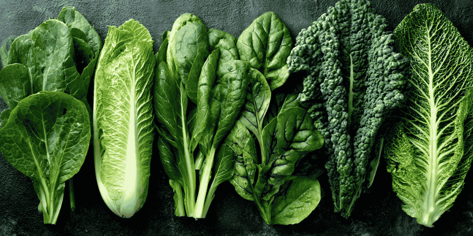 Support Your Liver this Spring with Tips from a Naturopath