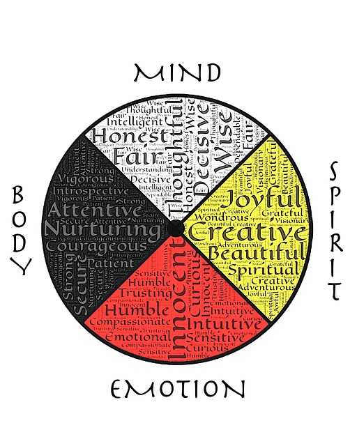 naturopathymedicinewheel