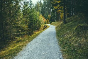 walking trail